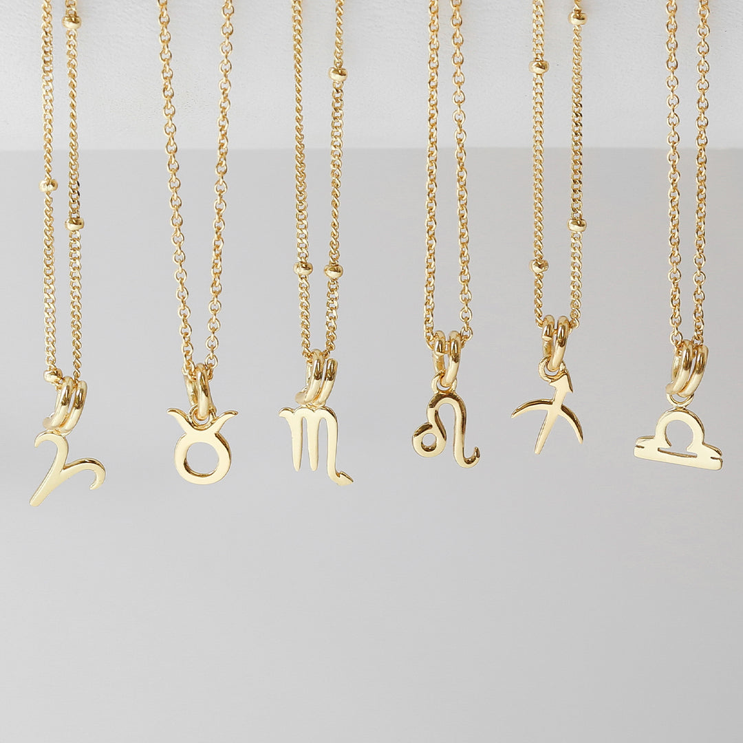 Petite Zodiac Necklace