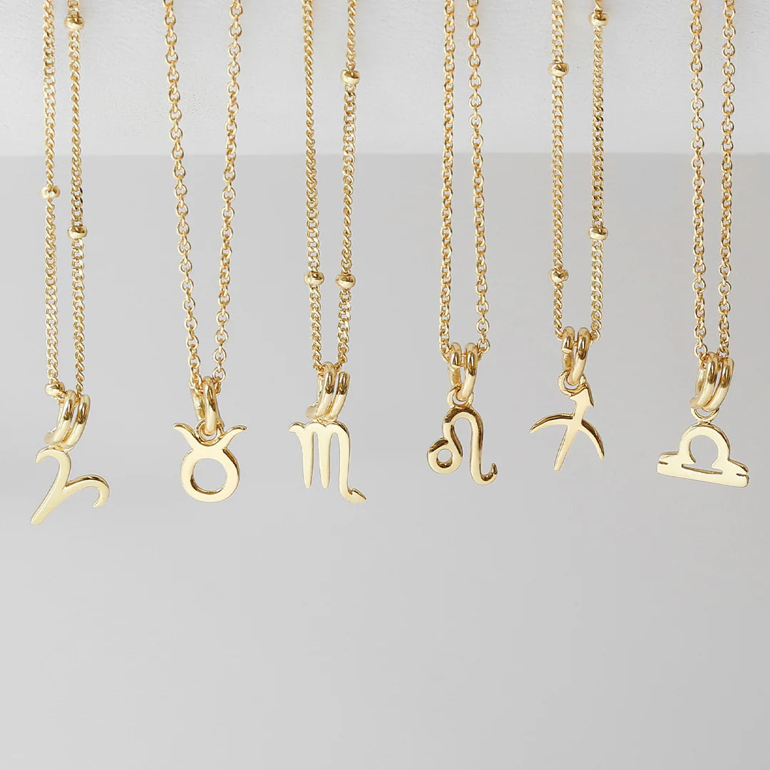 Petite Zodiac Necklace