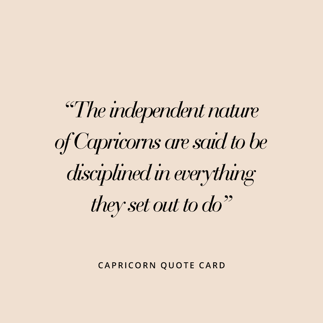 Capricorn Petite Zodiac Charm