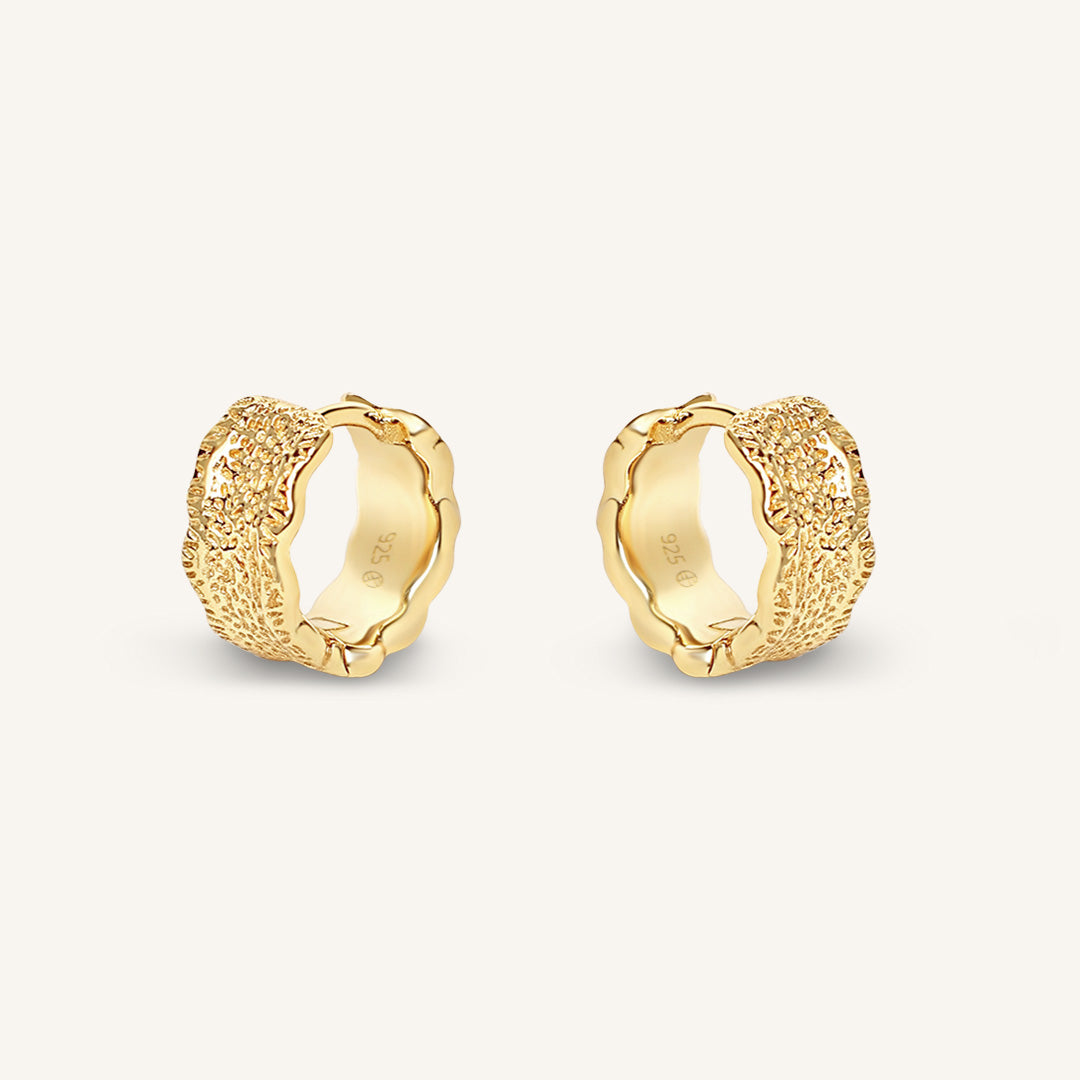 Pair of gold hoop earrings on a white background