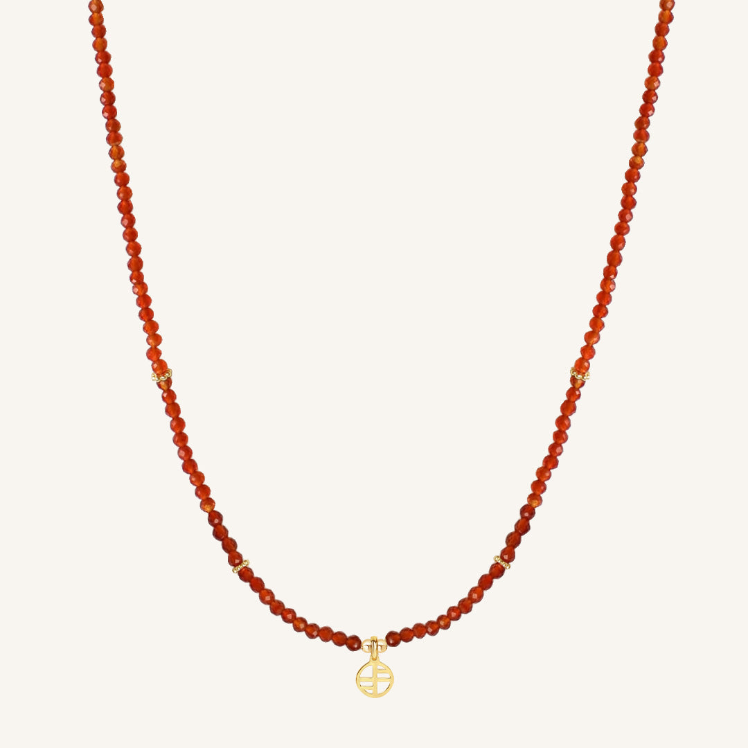 January Birthstone Necklace