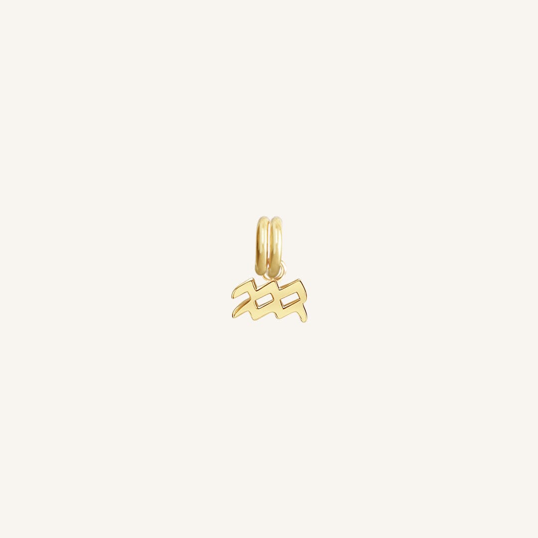 A gold petite charm with the Aquarius zodiac symbol.