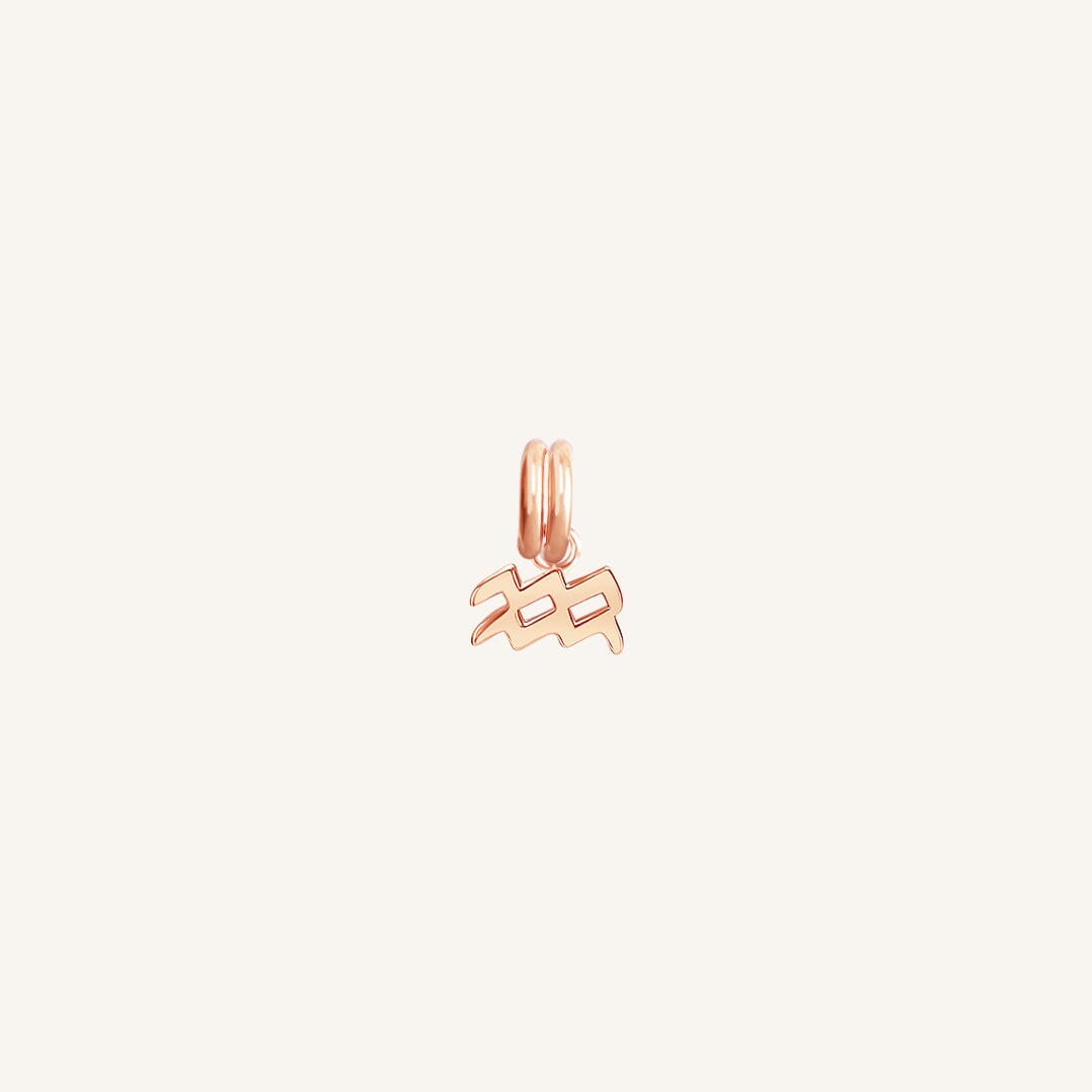 A rose gold petite charm with the Aquarius zodiac symbol.