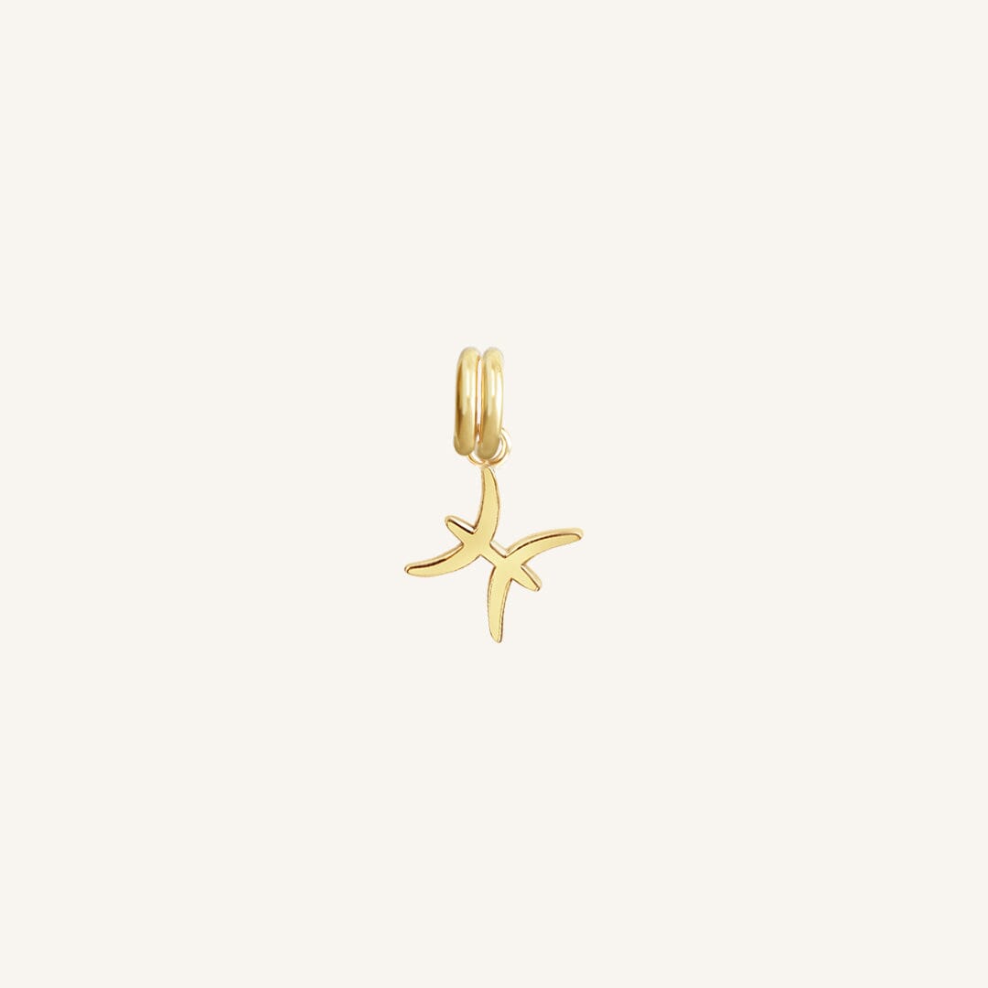A gold-coloured Petite Zodiac Charm representing the Pisces sign.