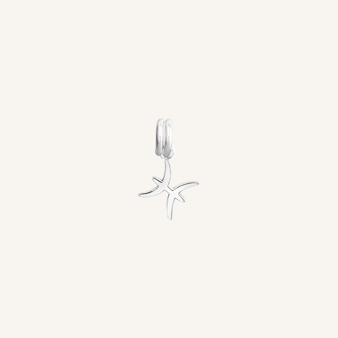 A silver-coloured Petite Zodiac Charm representing the Pisces sign.