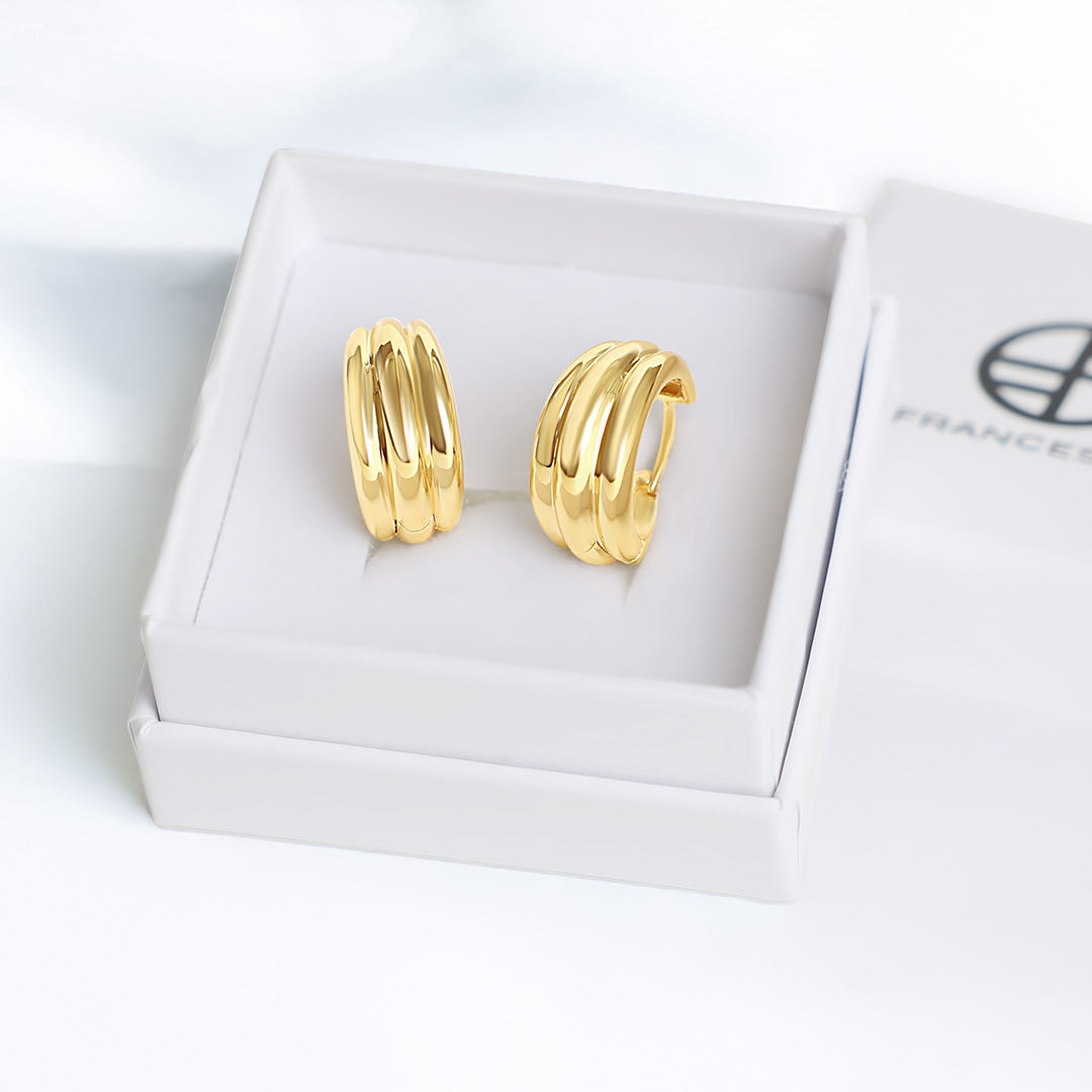 Gold hoop earrings on a white box with 'Francesca' branding.