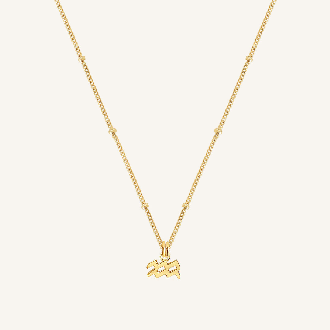 Petite Zodiac Necklace