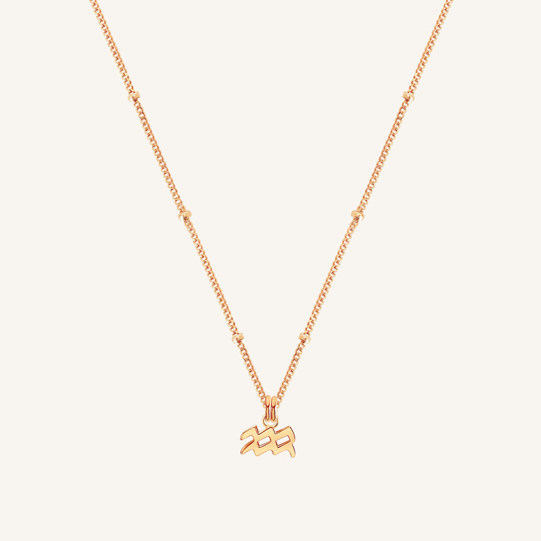 Petite Zodiac Necklace