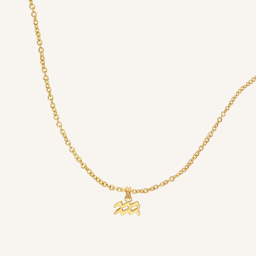 Petite Zodiac Necklace