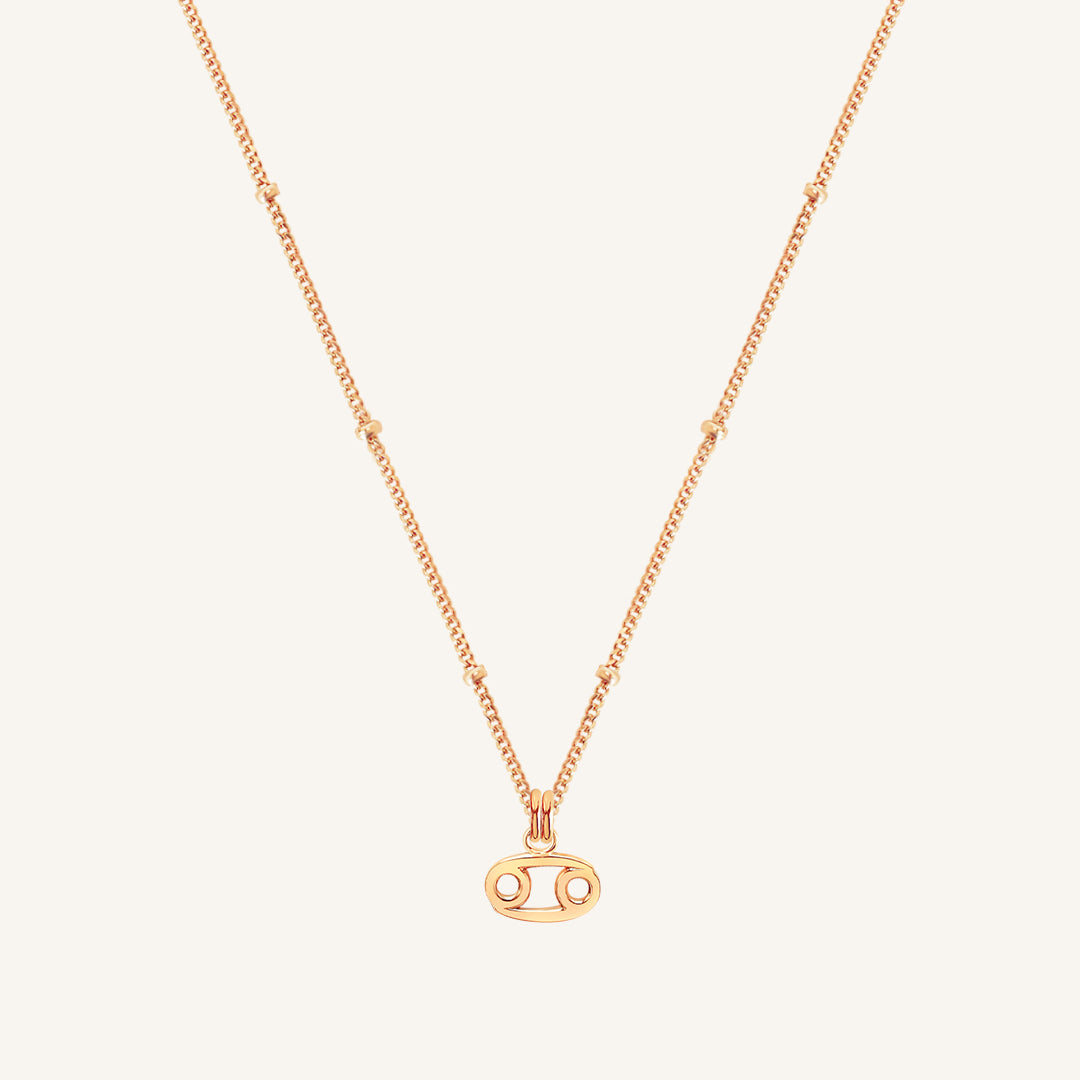 Petite Zodiac Necklace