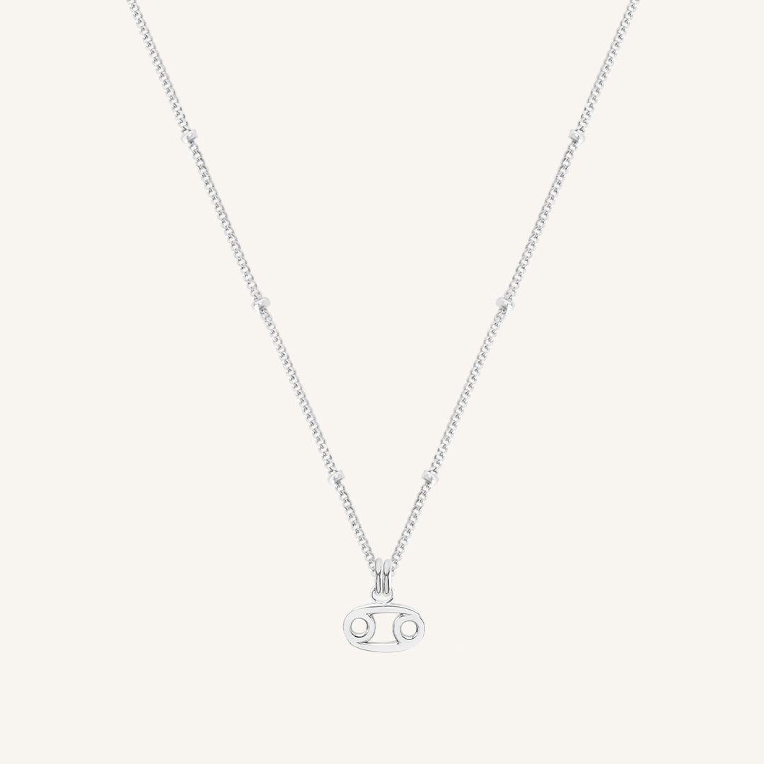 Petite Zodiac Necklace