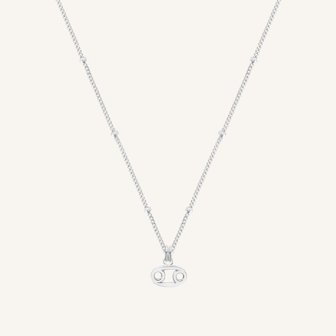 Petite Zodiac Necklace