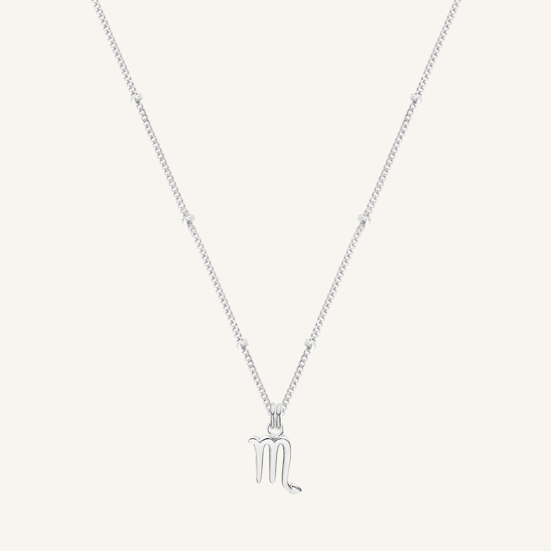 Petite Zodiac Necklace