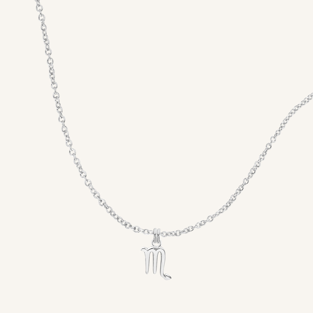 Petite Zodiac Necklace