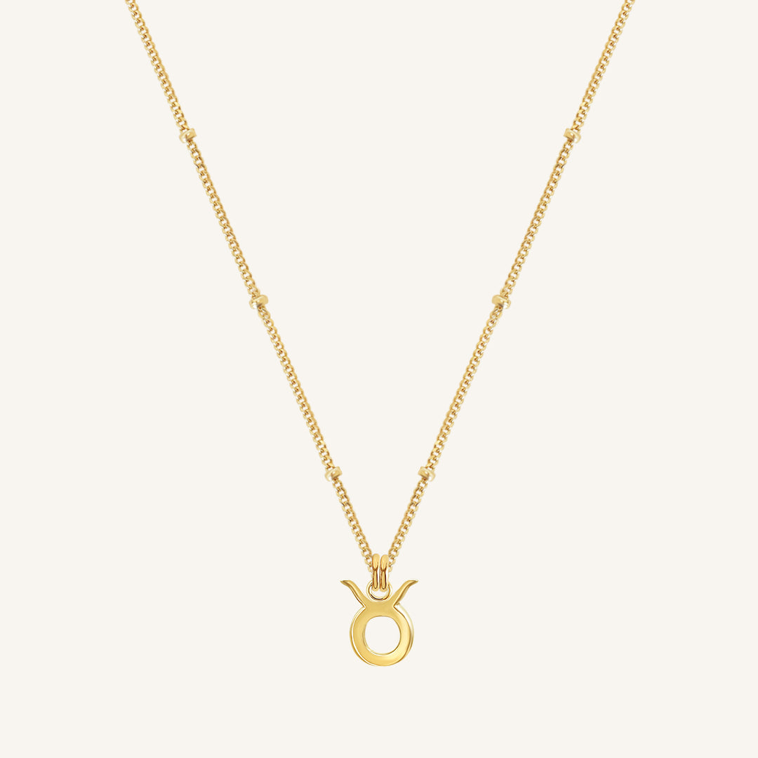 Petite Zodiac Necklace