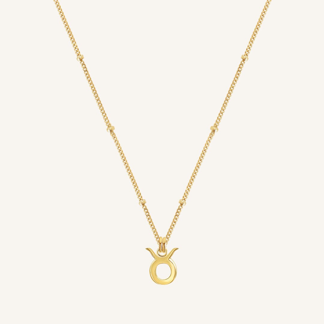 Petite Zodiac Necklace
