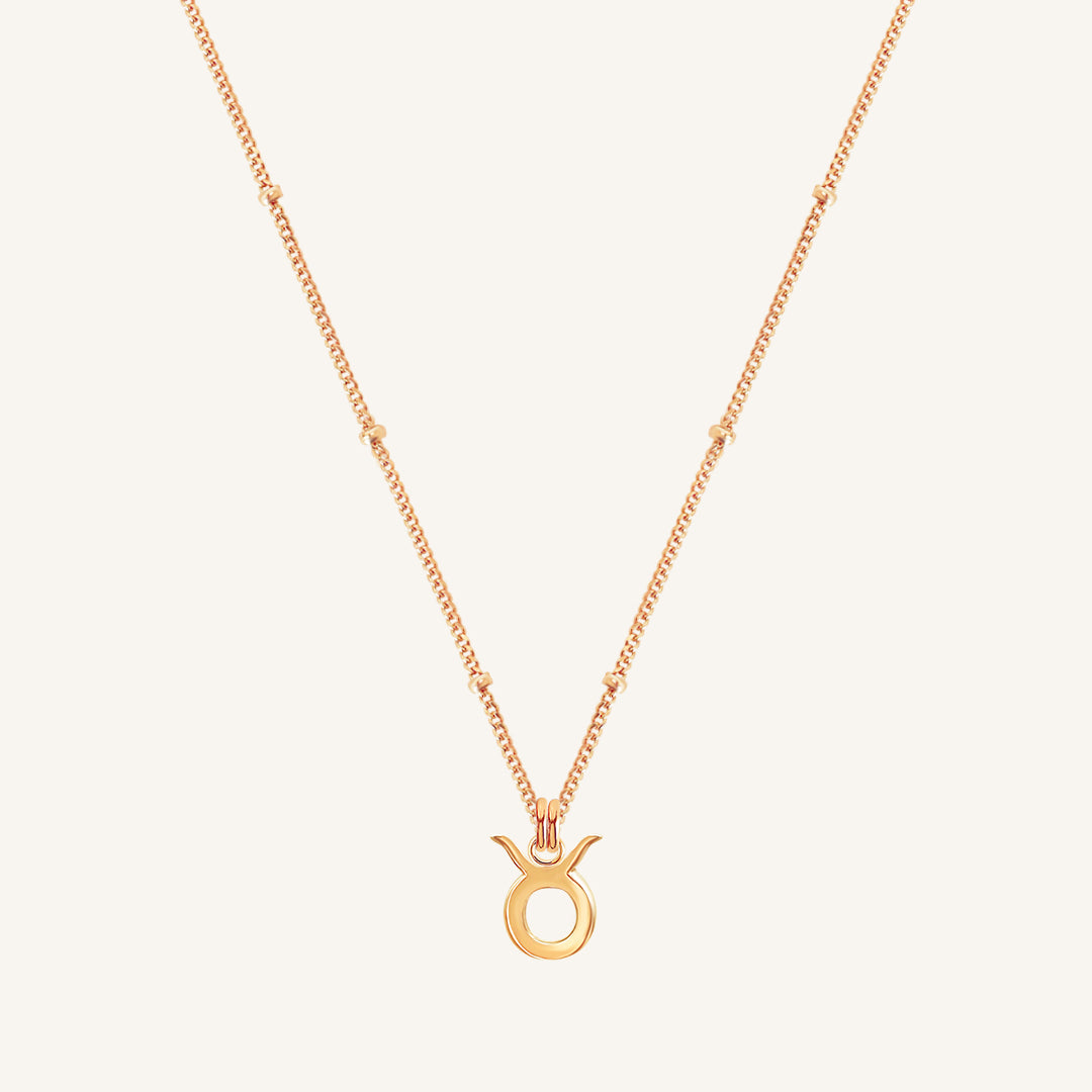 Petite Zodiac Necklace