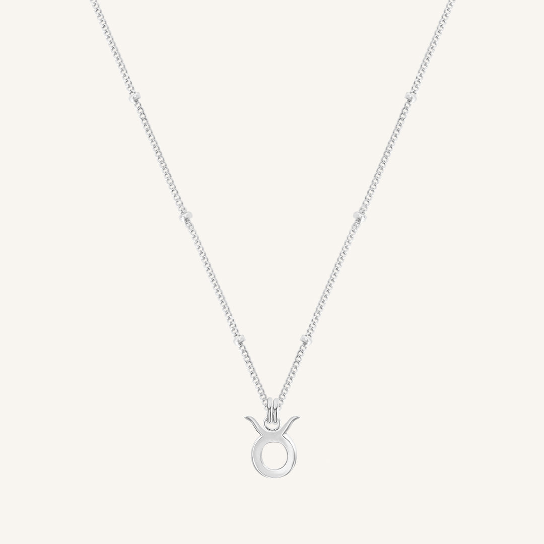 Petite Zodiac Necklace