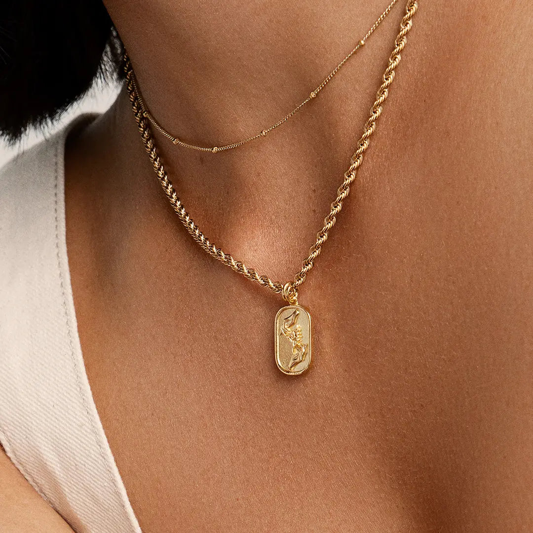 Conservation Charm - CONSERVATION-WORN_3.jpg