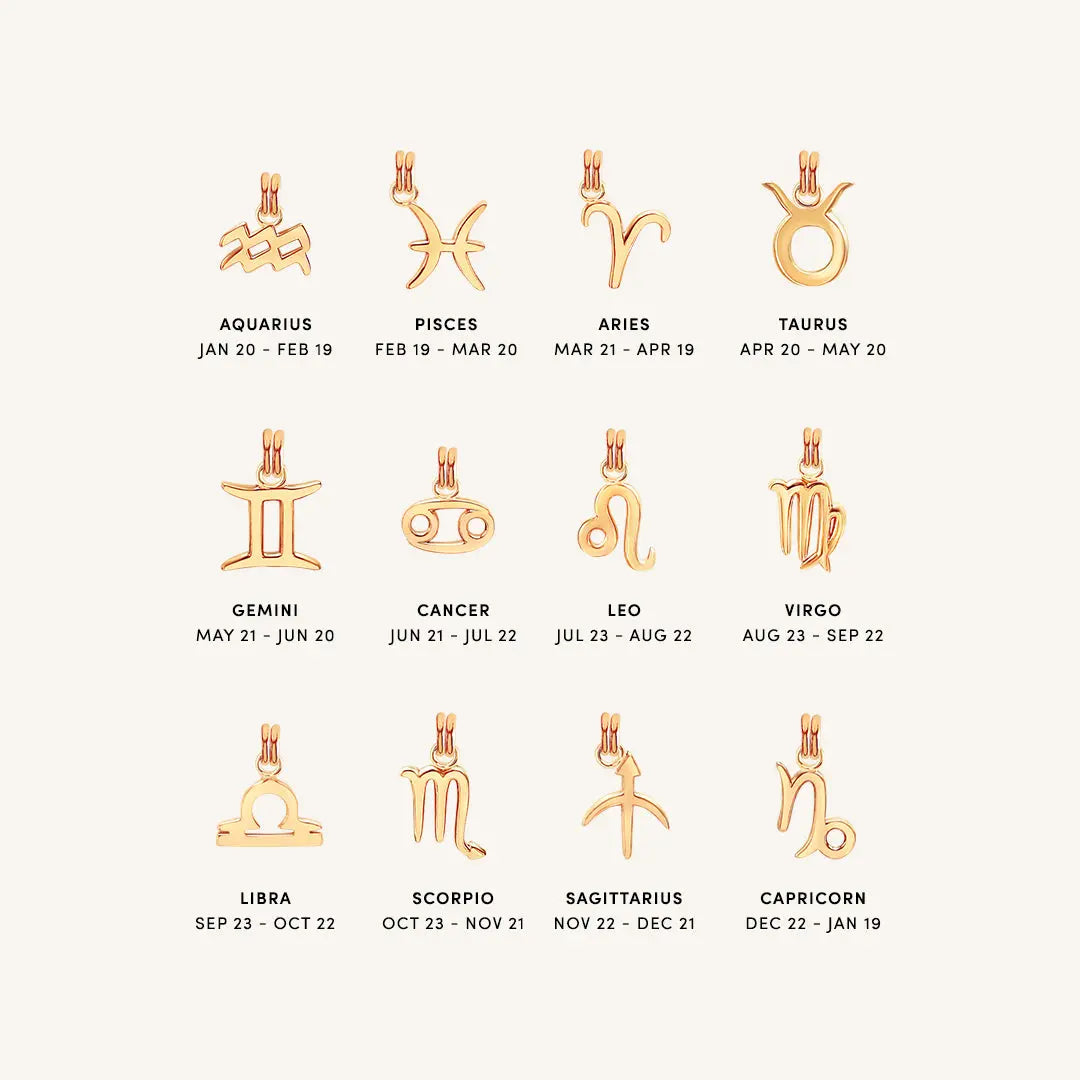 Petite Zodiac Necklace - PETITE_ZODIAC_ROSEGOLD_8dc21bdd-7bda-4424-99bf-4a50dcb5e797.jpg