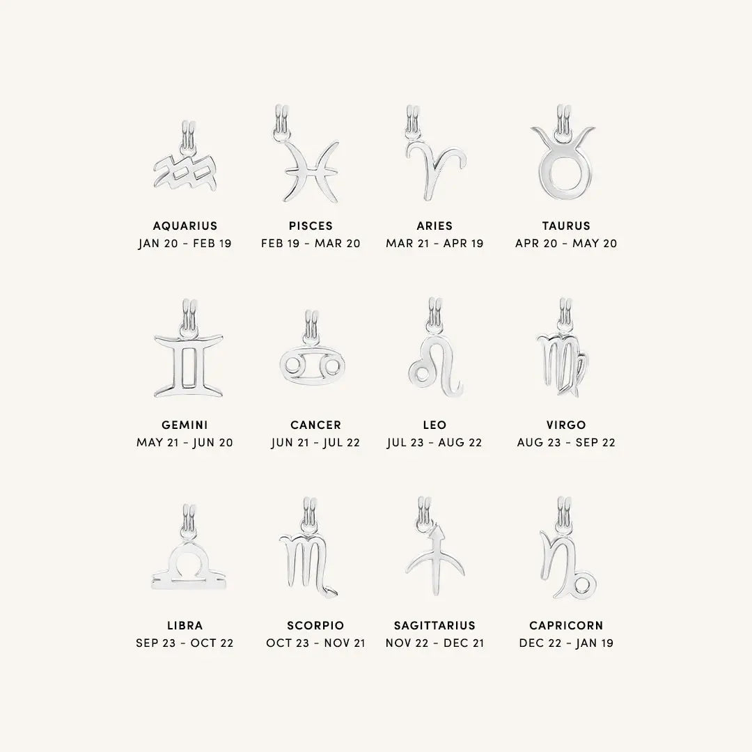 Petite Zodiac Necklace - PETITE_ZODIAC_SILVER_d6ba582a-d05c-490b-93b5-cd2335c6eb41.jpg