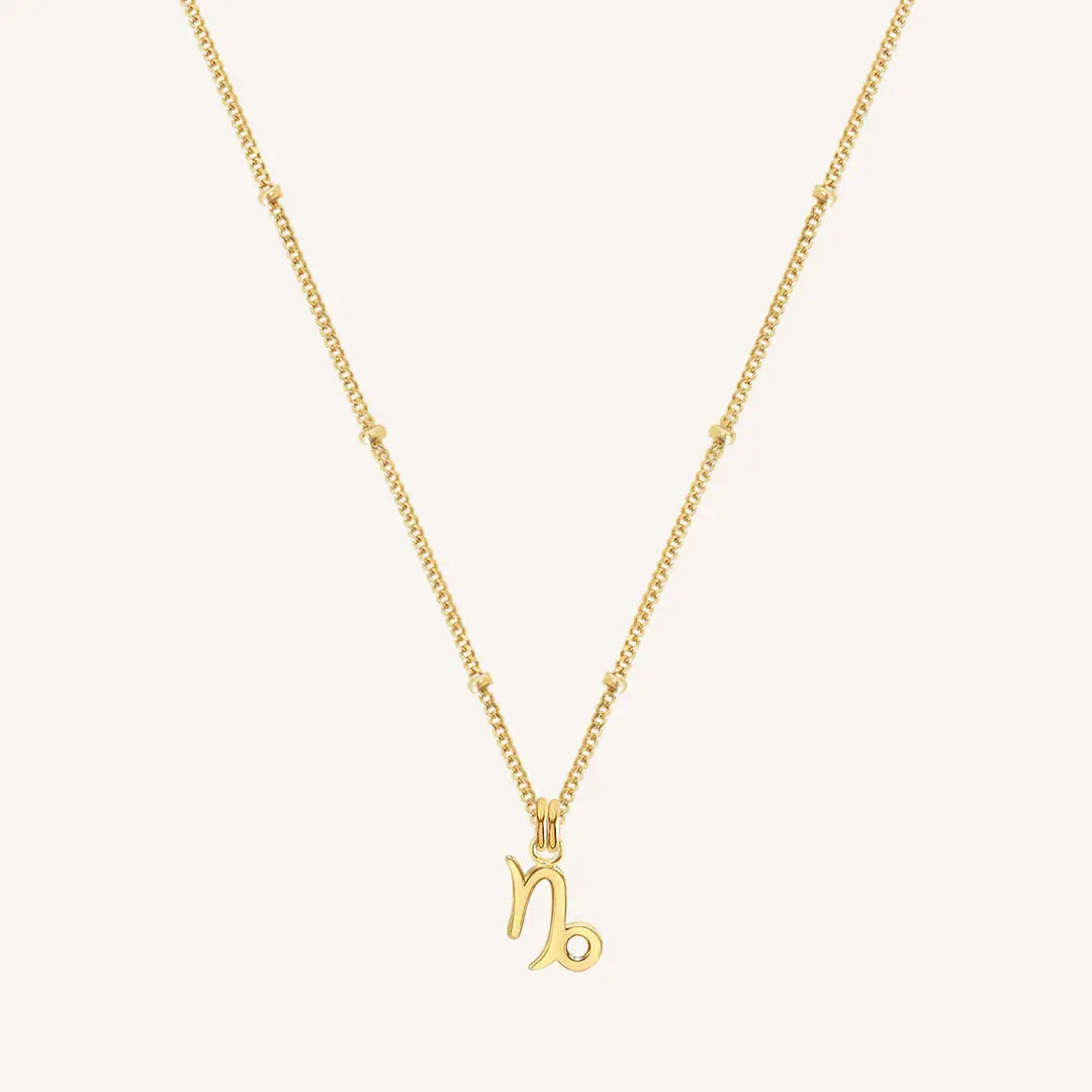 Petite Zodiac Necklace - ZODIACCAPRICORN_PETITE_GOLD_3.jpg