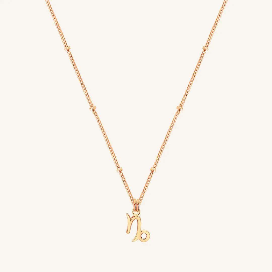 Petite Zodiac Necklace - ZODIACCAPRICORN_PETITE_ROSEGOLD_3.jpg