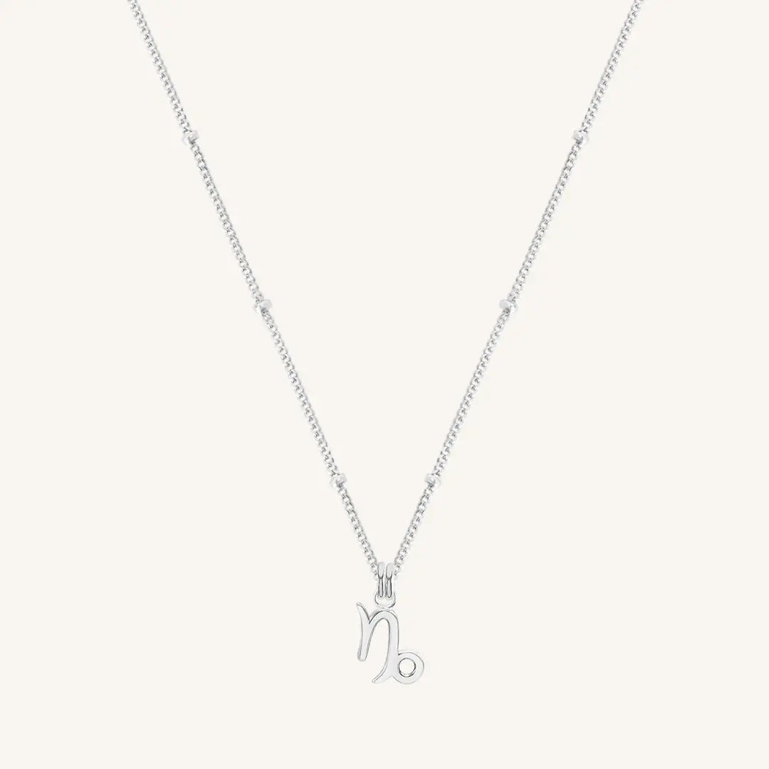 Petite Zodiac Necklace - ZODIACCAPRICORN_PETITE_SILVER_3.jpg