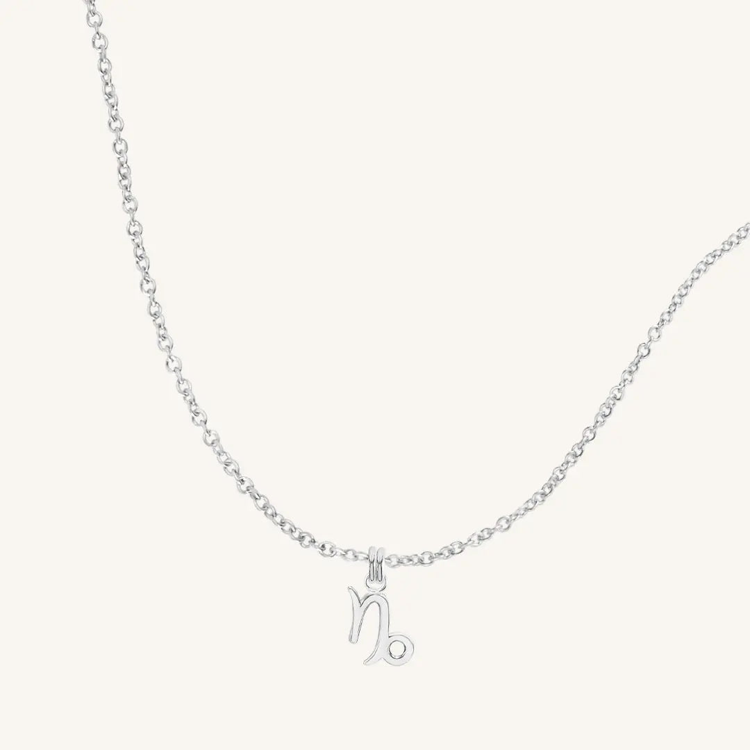 Petite Zodiac Necklace - ZODIACCAPRICORN_PETITE_SILVER_2.jpg