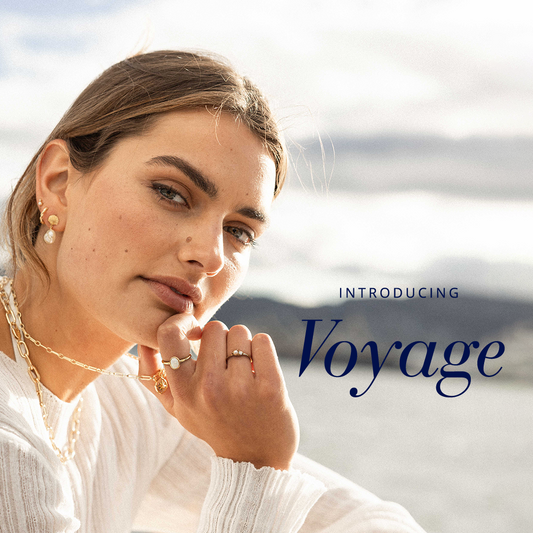 Introducing Voyage: Discover Your True North