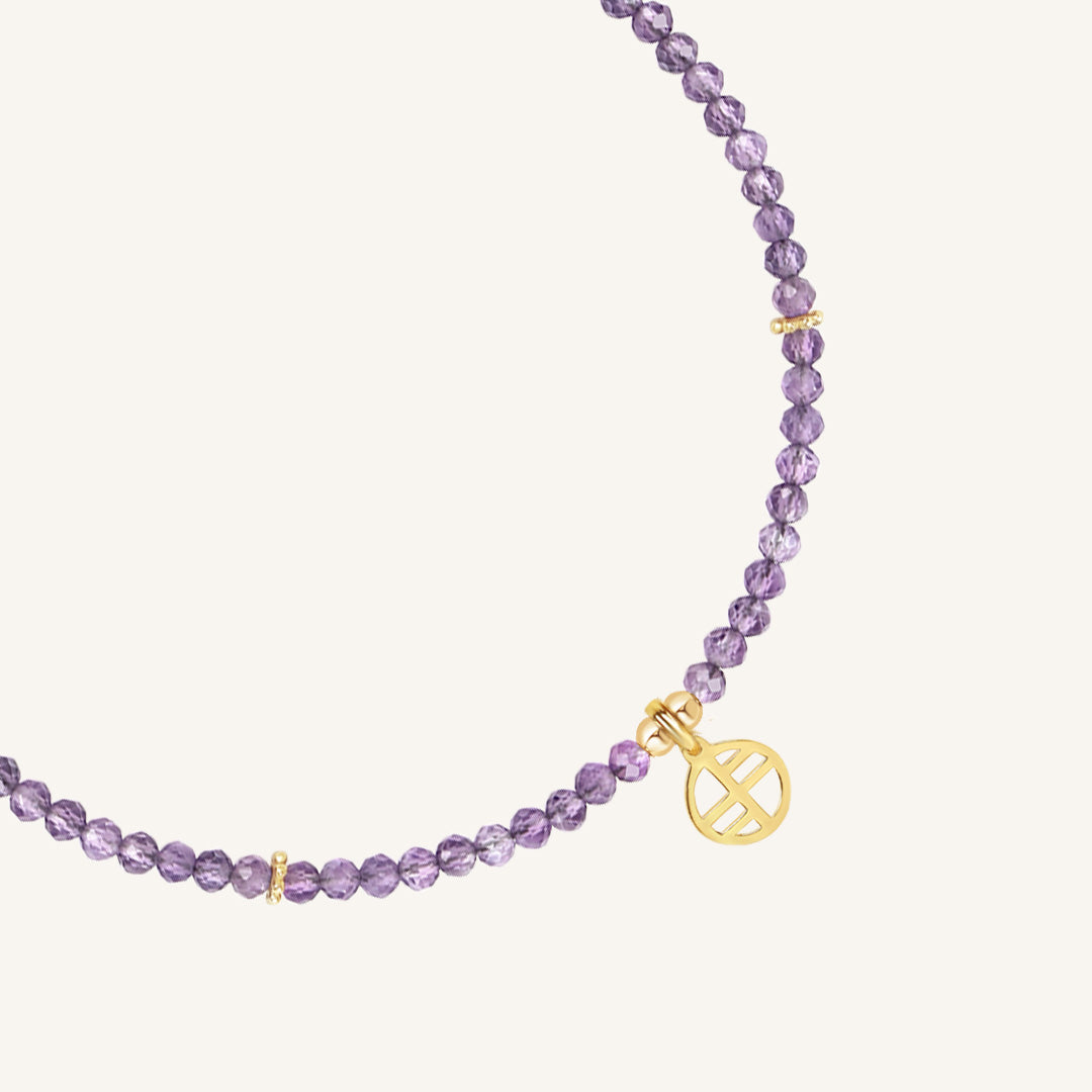 February Birthstone Necklace