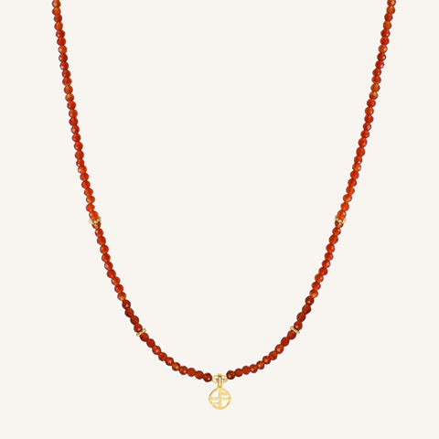 January Birthstone Necklace