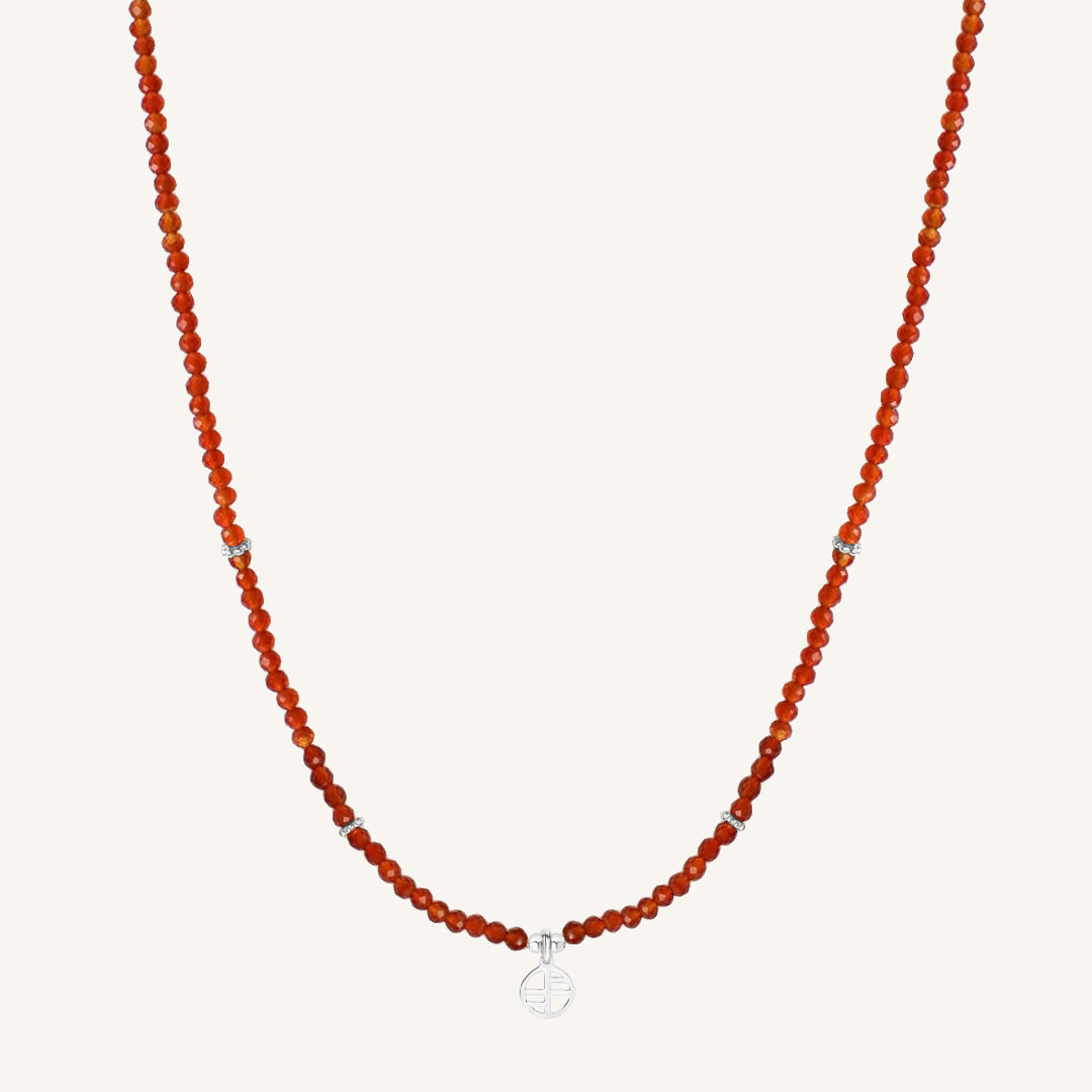 January Birthstone Necklace