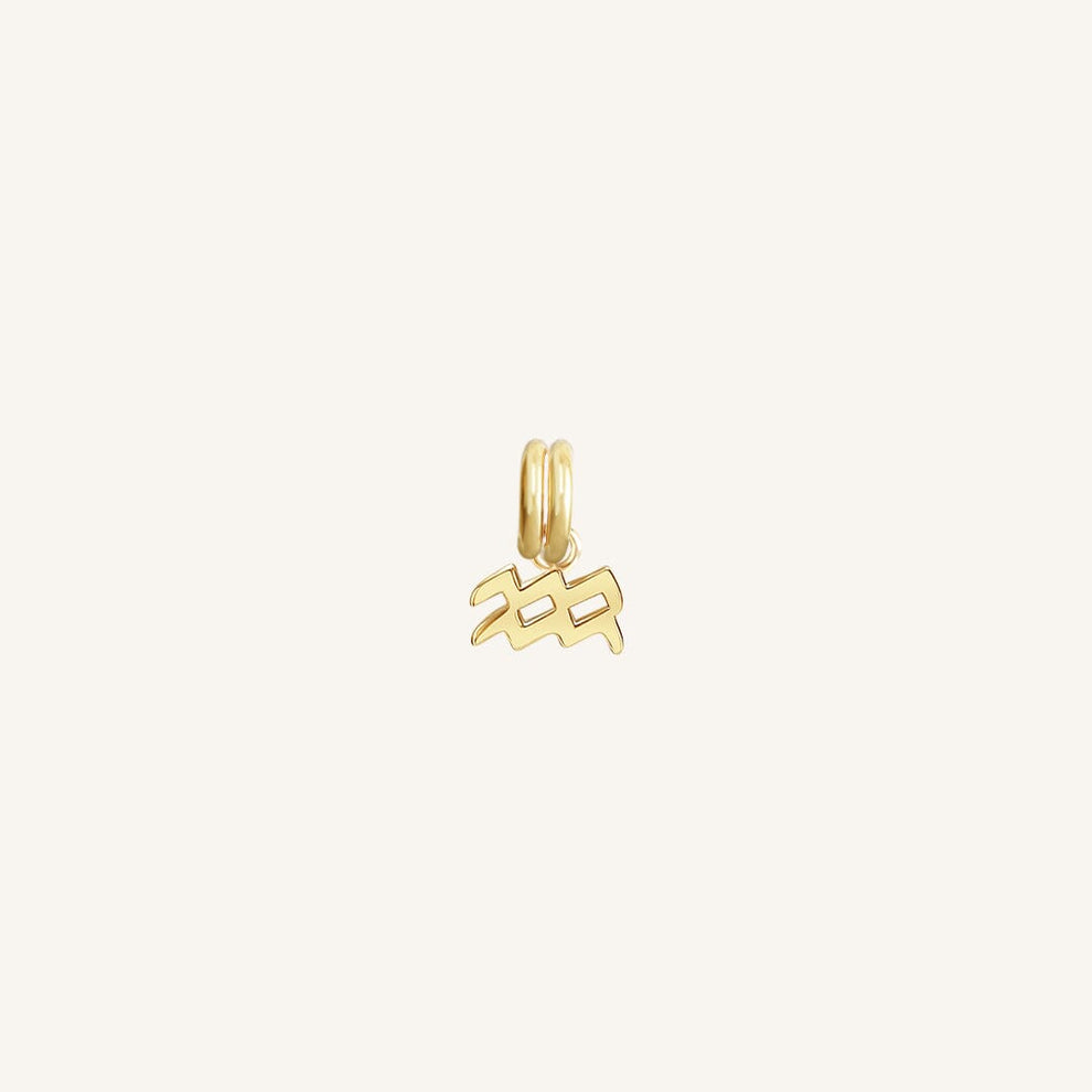 AQUARIUS Zodiac Charm