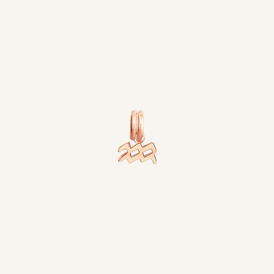 A rose gold  petite charm with the Aquarius zodiac symbol.