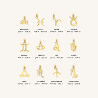 Petite Zodiac Necklace - ZODIACCAPRICORN_PETITE_GOLD_2.jpg
