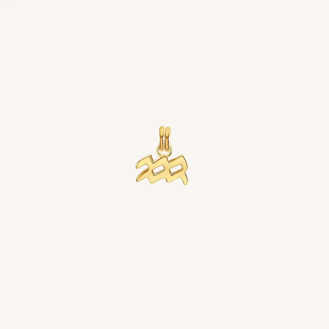 The  GOLD  Petite Zodiac Charm Aquarius by  Francesca Jewellery from the Charms Collection.