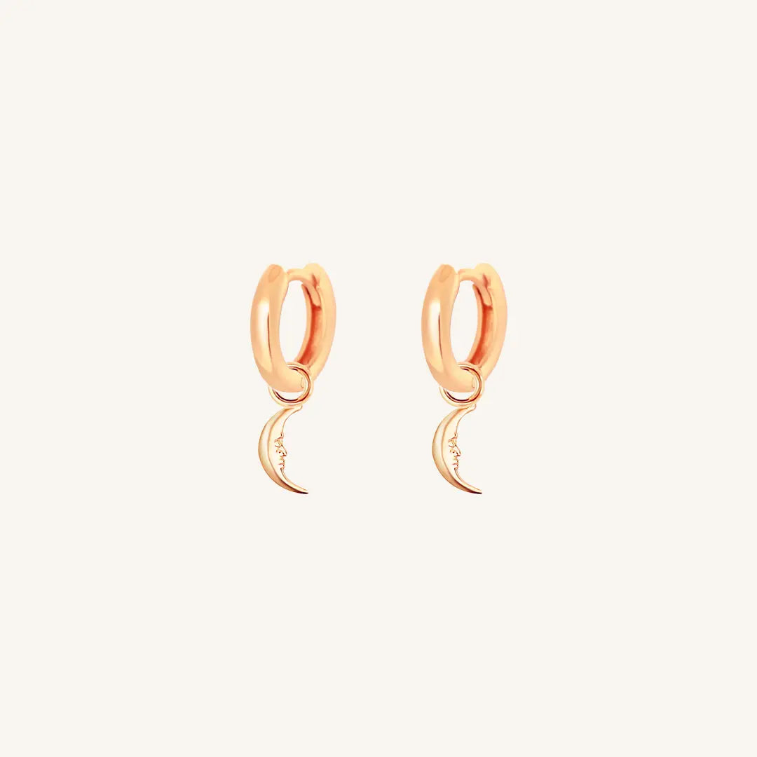 The  ROSE-Billie  Patience Plain Hoops by  Francesca Jewellery from the Earrings Collection.