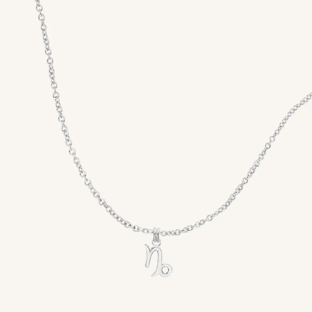Personalised Silver Or Gold Aquarius Zodiac Necklace By Lily Charmed |  notonthehighstreet.com